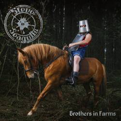 Steve 'N' Seagulls : Brothers in Farms